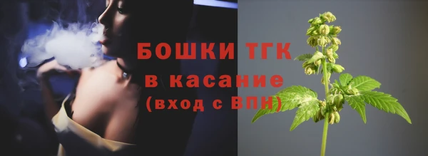 прущий лед Вяземский